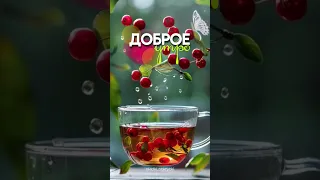 С добрым утром! #видеооткрытки #доь #доброеутро #пожелания