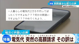 【電気代が突然倍以上に】高額請求の新電力会社を追跡取材！