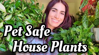 12 Pet Safe Indoor House Plants + Updates on My Cat 😸💕 Non-toxic Pet Friendly Plants for Your Home🪴