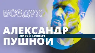 Александр Пушной // ВОЗДУХ // НАШЕ