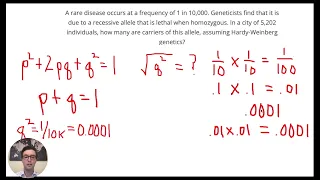 MCAT Question of the Day: Hardy-Weinberg Genetics