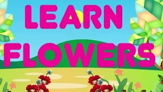 Learn Flowers Name for Kids | Flowers Name in English | kids Learning Videos & Kindergarten Videos