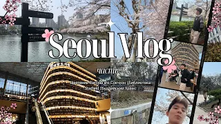 SEOUL VLOG | Цветение Сакуры в Сокчхон | Библиотека Starfield | Буддийский Храм | ЧАСТЬ 2 | KOREA