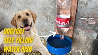 Unusual Idea For Pet | Self-Filling Dog/Cat Water Bowl - Make