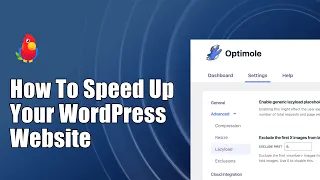 How  to Speed up Your WordPress Website [2023]