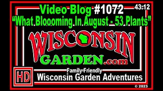 Video Blog 1072 – What’s Bloomin In August – 53 Plants - www.WisconsinGarden.com