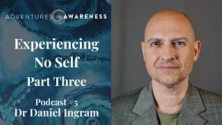 Daniel Ingram - Experiencing No Self: Part Three