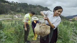 COSECHANDO PAPAS Y COSINANDO EN EL CAMPO CON LA FAMILIA/ VADONIS