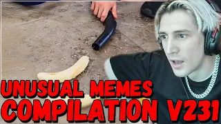 xQc Reacts To: "UNUSUAL MEMES COMPILATION V231"