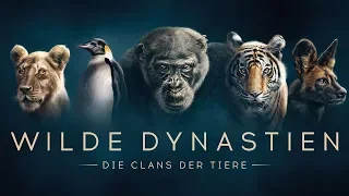 WILDE DYNASTIEN - Die Clans der Tiere - Trailer [HD] Deutsch / German