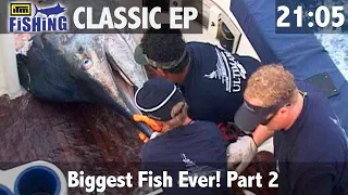 The biggest fish ever - Part 2