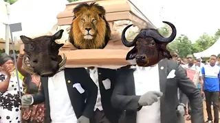 Funniest ANIMAL FIGHTS ⚰ Wild Animals Attack Meme Compilation 2021 | COFFIN DANCE MEME  #4