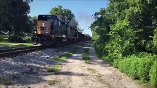 CSXT Local A782 in Oxford, FL (7/5/2017)