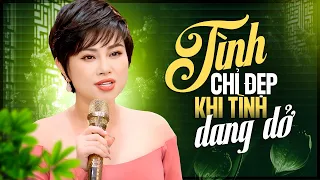 CẢ PHÒNG TRÀ LẶNG NGƯỜI KHI CÔ CA SĨ CÁ TÍNH CẤT TIẾNG HÁT - Tình Chỉ Đẹp & Thói Đời | Mỹ Linh