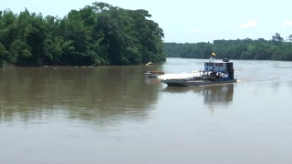 El río Putumayo hoy tiene menos delfines- Capitulo 1