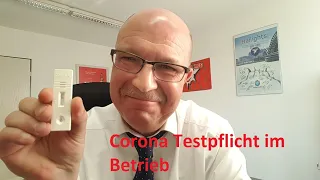 Corona Testpflicht im Betrieb