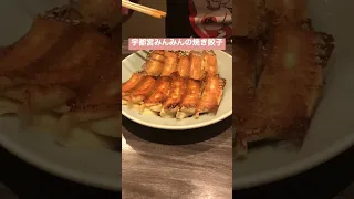 有名な宇都宮みんみんの羽付き焼き餃子を食べて来ました🥟　#shorts  #飯テロ  #宇都宮餃子  #みんみん