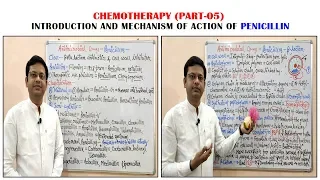 Chemotherapy of Antibiotics (Part-05) =Penicillin (01)= Introduction & Classification | Antibiotics