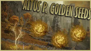 Elden Ring: How to get ALL ALTUS PLATEAU GOLDEN SEEDS QUICK!?