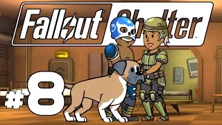 Fallout Shelter PC - Ep. 8 - Loving Luchador! - Lets Play Fallout Shelter PC Gameplay