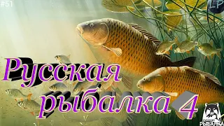 🔴Русская Рыбалка 4/Russian Fishing 4/рр4 Общение + фарм🎣№51