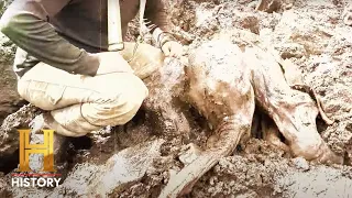 The UnBelievable: 30,000-Year-Old Woolly Mammoth Found in Canada (Season 1)