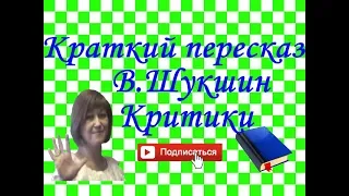 Краткий пересказ В.Шукшин "Критики"