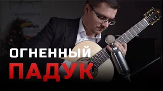 Обзор классической гитары Newtone Student AS N PDK