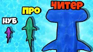 ЭВОЛЮЦИЯ РАЗМЕРА АКУЛЫ, МАКСИМАЛЬНЫЙ УРОВЕНЬ! | Shark: Feed And Grow