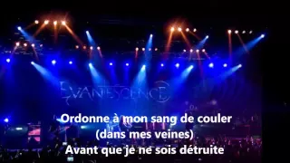 Evanescence  - Bring Me To Life traduction Français