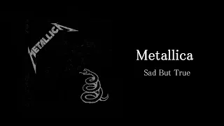 Metallica - Sad But True (Guitar Backing Track with Tabs)