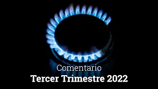 Evolución de los fondos de Cobas AM 3er Trimestre 2022