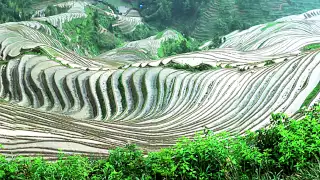 Dazhai Spring Planting (大寨春耕) - 2006 (China Works Series)