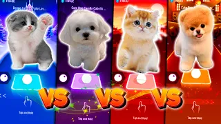 CUTE CAT BTS FAKE LOVE CUTE DOG CAMILA CABELLO HAVANA CUTE CAT GUMMY BEAR CUTE DOG AQUA BARBIE GIRL