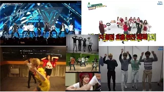 Idol Sing & Dance to Super Junior Part 1 (GOT7 Seventeen Shinee Zea Dongjun Twice Lovelyz SMTOWN)