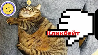 ПОЛОСАТЫЕ (ТИГРЫ) КОТЫ / ПОДБОРКА ПРИКОЛОВ ПРО КОТОВ ИЗ ТИКТОК