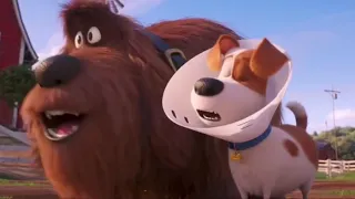 The secret life of pets 2 (6/20) The farm Scene Gio Channel