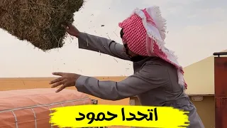 ١٤ فبراير، ٢٠٢٤