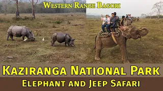 Kaziranga National Park Rhino Safari on Elephant and Jeep