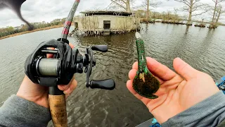 Kicked Off The Water by Tornado AND I found Bones In The Cypress Trees || Quick Spring Fishing Trip