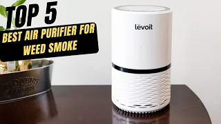 Best Air Purifier for Weed Smoke in 2024