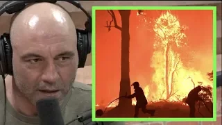 Joe Rogan on The Devastation of the Australia Fires