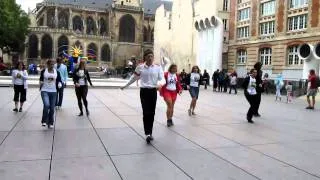 Hommage à Michael Jackson, flashmob 2, The Drill Jackson 5, Beaubourg Paris