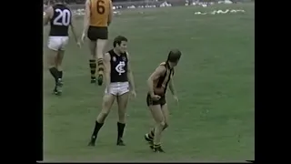 1981 VFL Highlights (Rounds 1 to 11)
