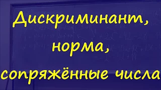 47 Дискриминант, норма, сопряжённые числа