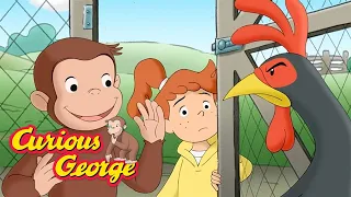 George Goes to the Countryside 🐵 Curious George 🐵 Kids Cartoon 🐵 Kids Movies