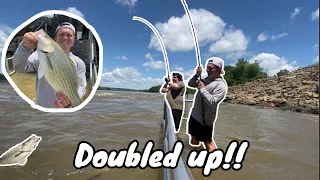 |Greenup Dam Fishing| CATCHING MONSTER HYBRIDS IN MUDDY WATER!! (Over 40 fish caught in 2 hours!!)