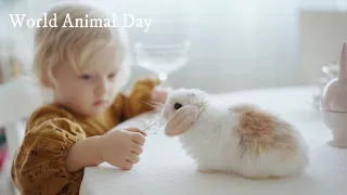 World Animal Day is an international day of action for animal rights celebrated on October 4