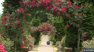 Where We Live: The Rose Garden