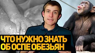 Что такое оспа обезьян? Насколько она опасна?